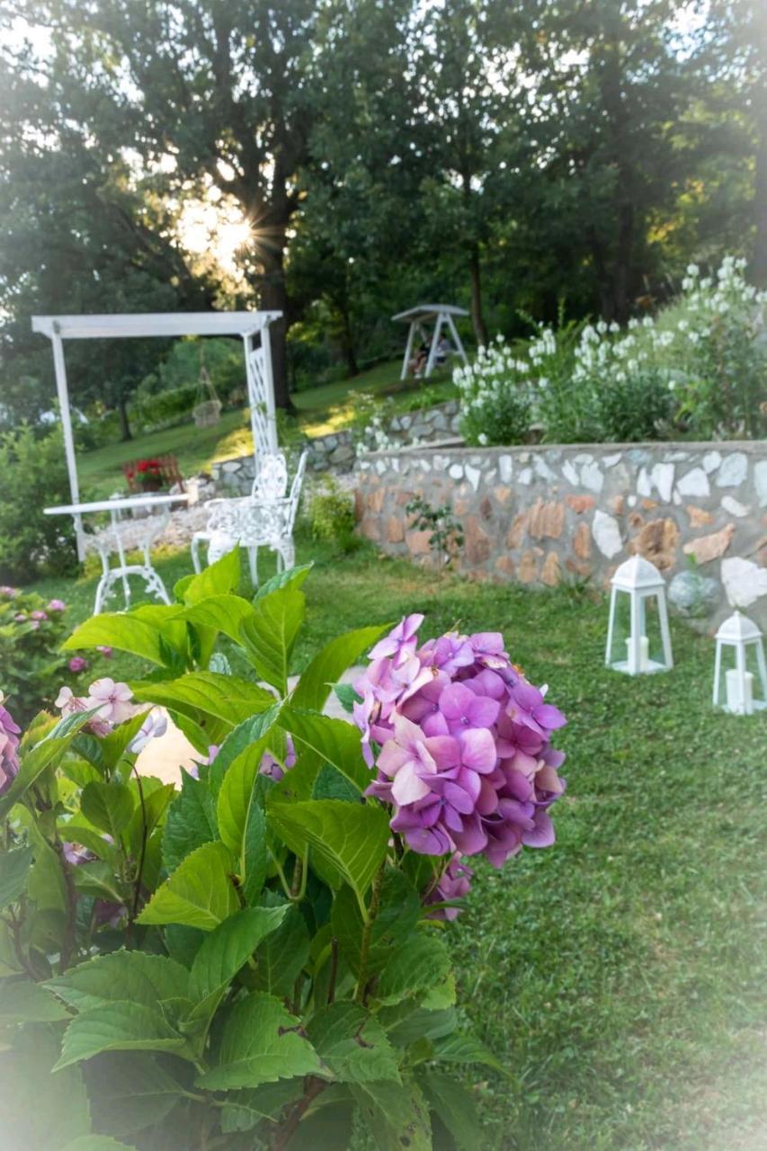 Pensiunea Casa Mircea & Restaurant Ieşelniţa Exterior foto
